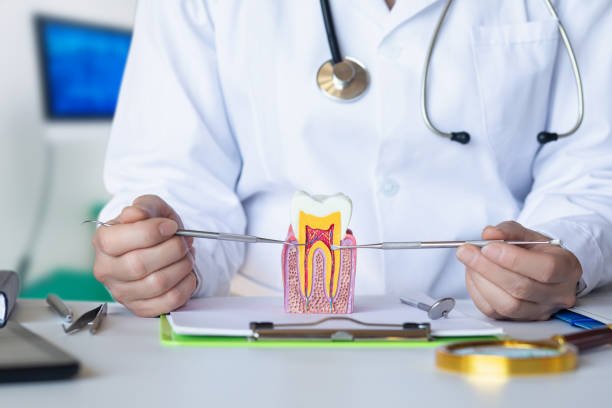 Best Emergency Gum Treatment in Morris, MN